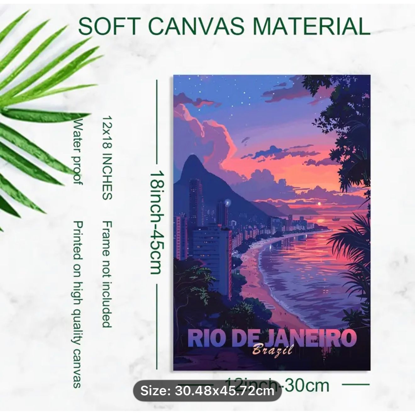 Brazilian Canvas Print Rio 2