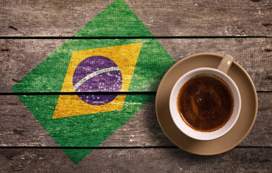 Brazilian Coffee: A Journey Through Flavor and Tradition