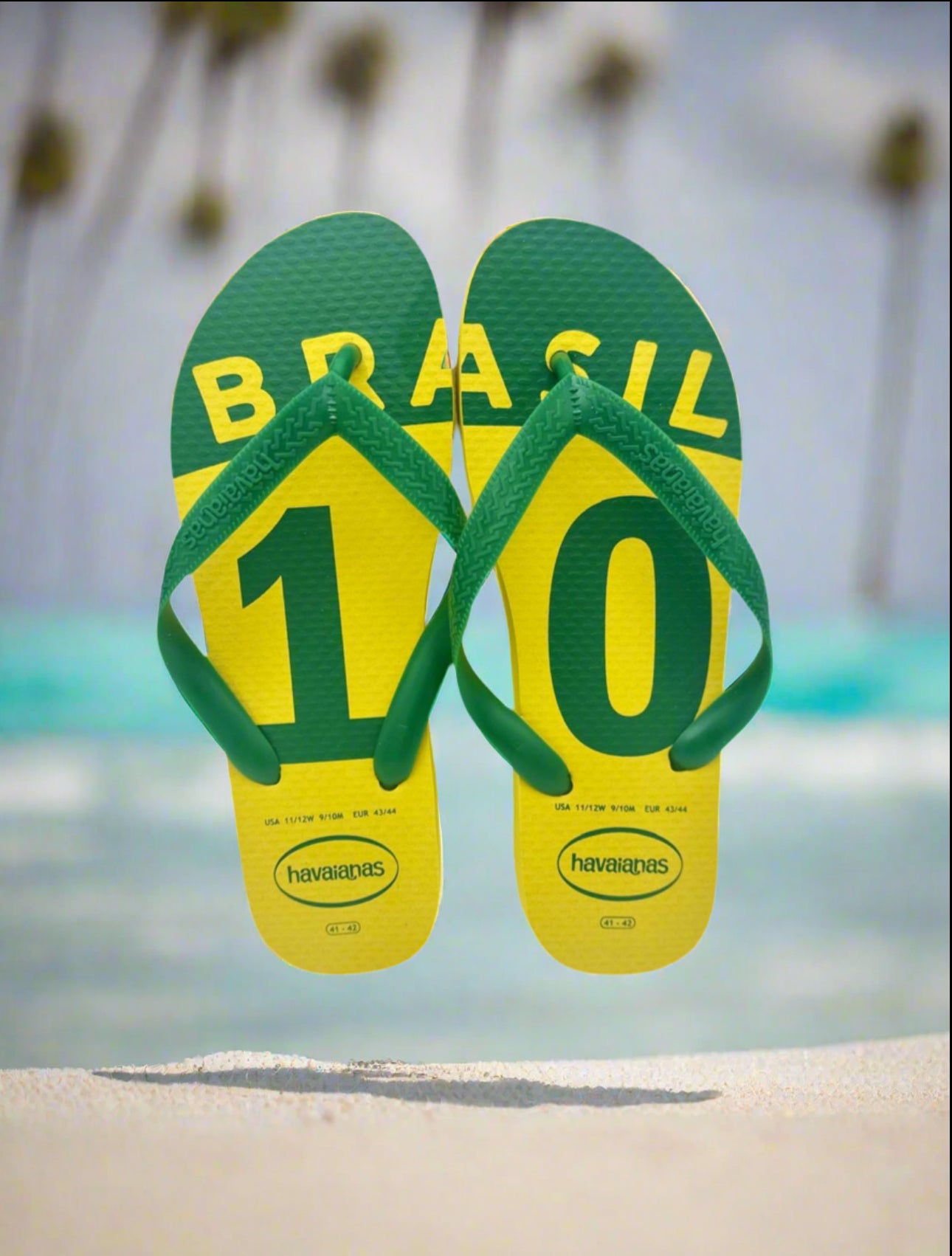 Iconic havaianas on sale